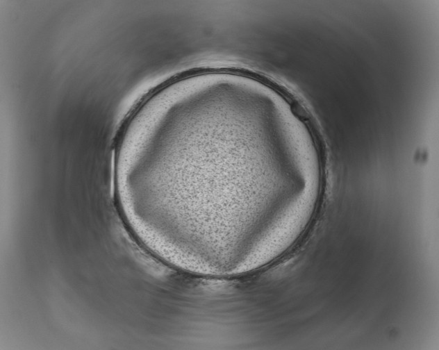 X0000111641175200908071335