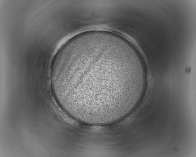 X0000111641176200908071335