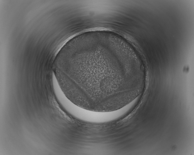 X0000111641177200908071335