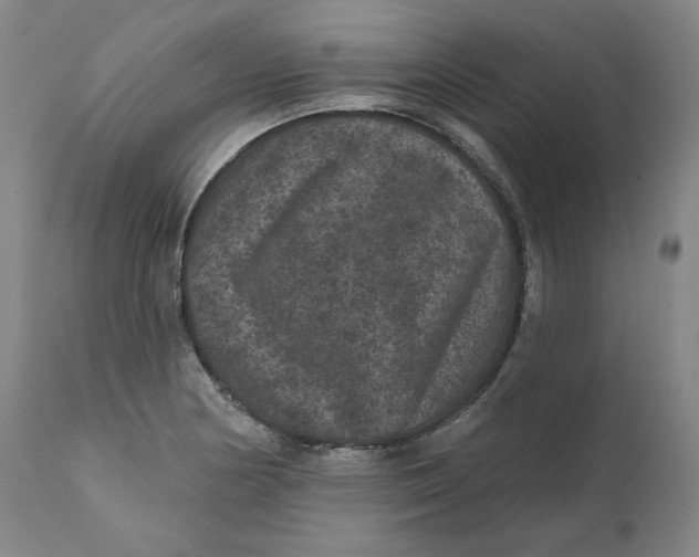 X0000111641178200908071335