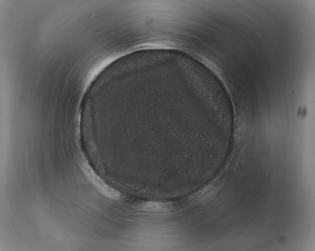 X0000111641179200908071335