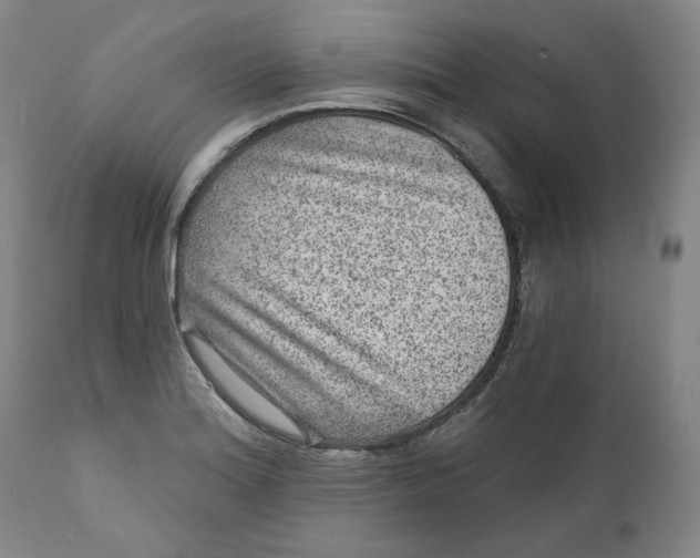 X0000111641180200908071335