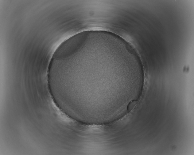 X0000111641181200908071335