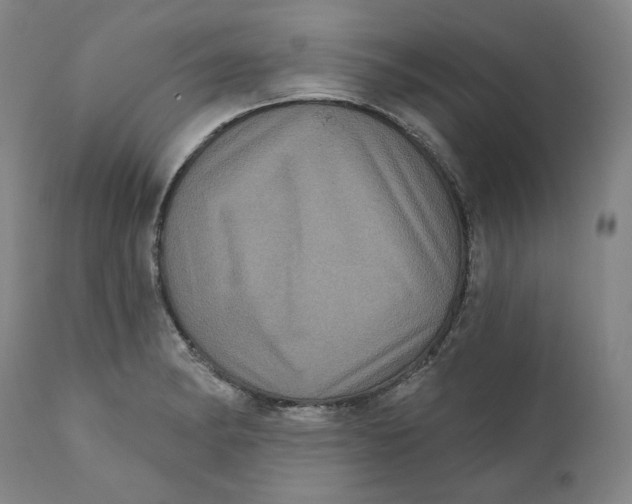 X0000111641182200908071335