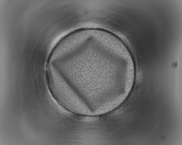 X0000111641183200908071335