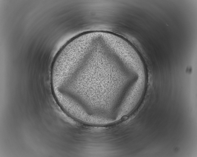 X0000111641184200908071335