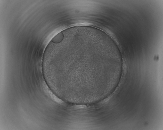 X0000111641186200908071335