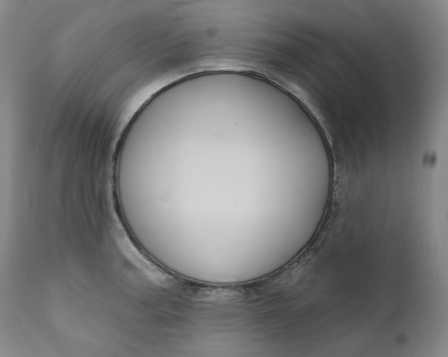 X0000111641187200908071335