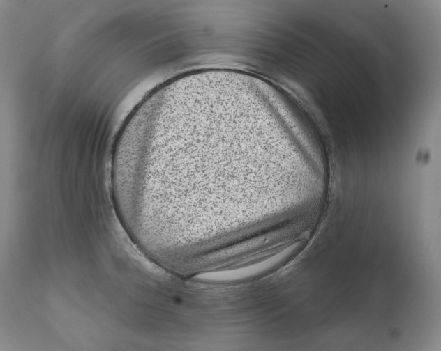 X0000111641188200908071335