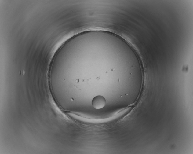 X0000111641189200908071335