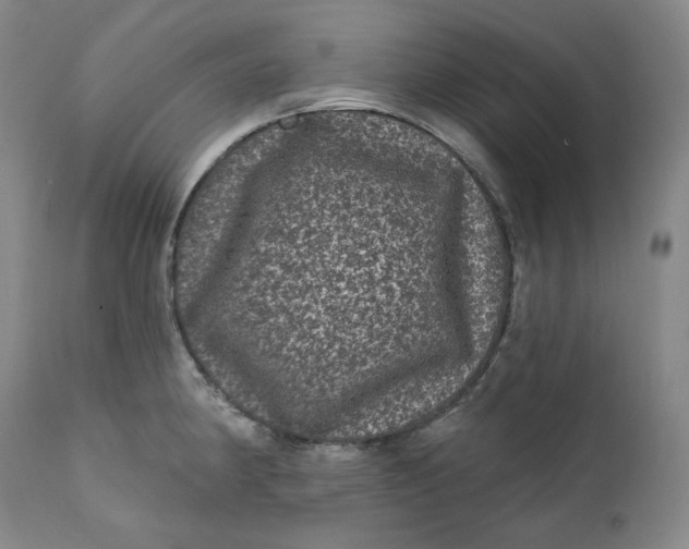 X0000111641190200908071335