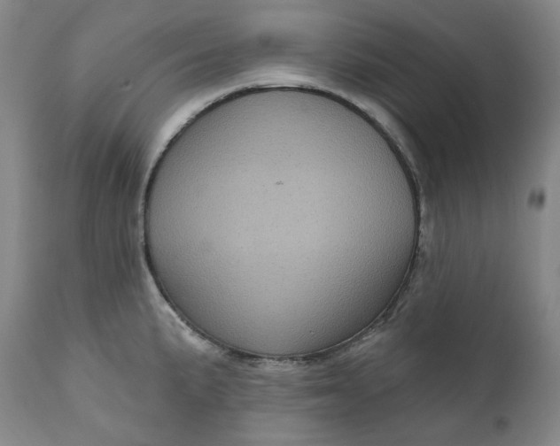 X0000111641191200908071335