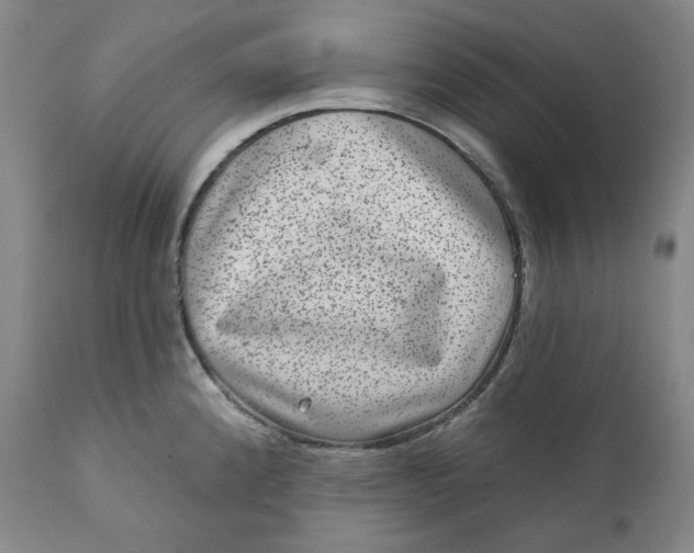 X0000111641192200908071335