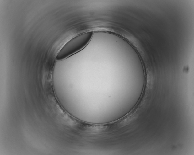 X0000111641193200908071335