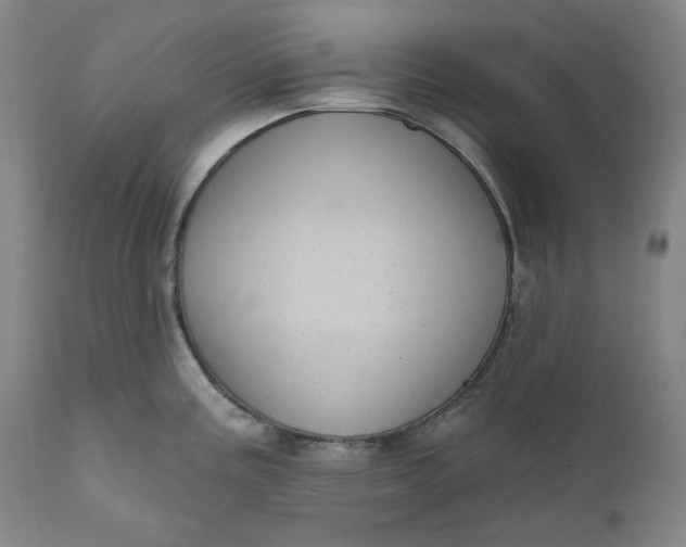 X0000111641195200908071335