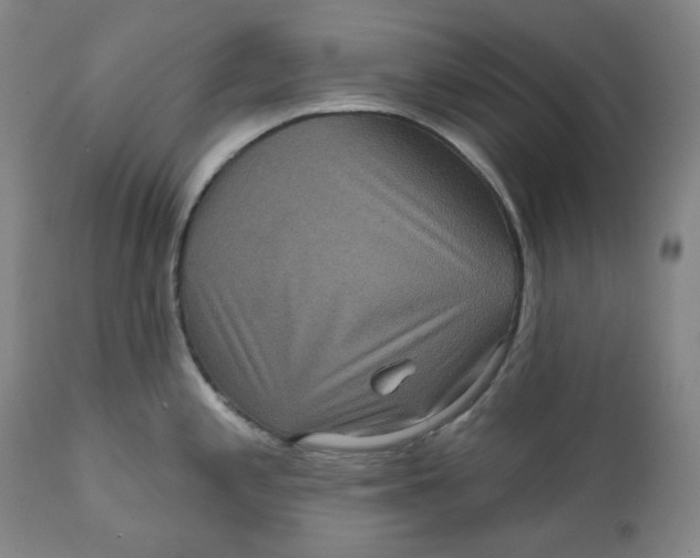 X0000111641197200908071335