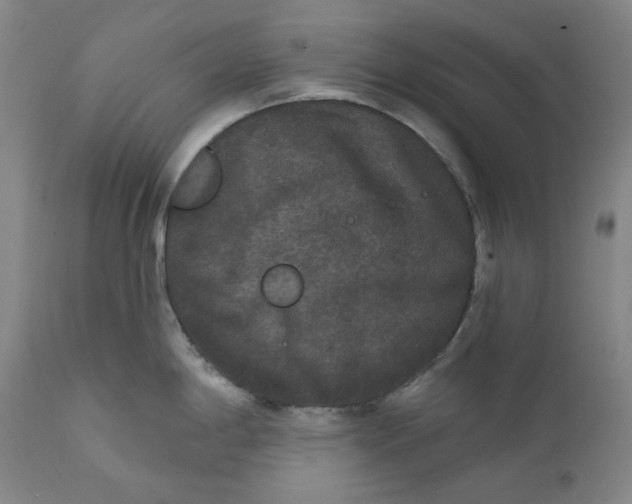 X0000111641198200908071334