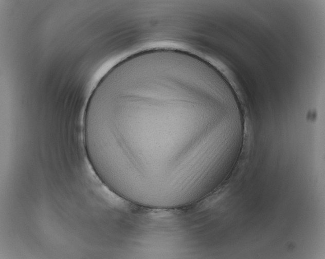 X0000111641199200908071334