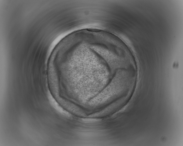 X0000111641200200908071334