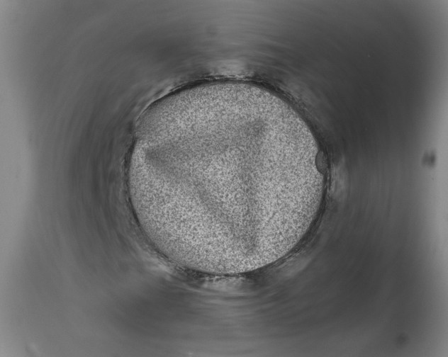 X0000111641201200908071334