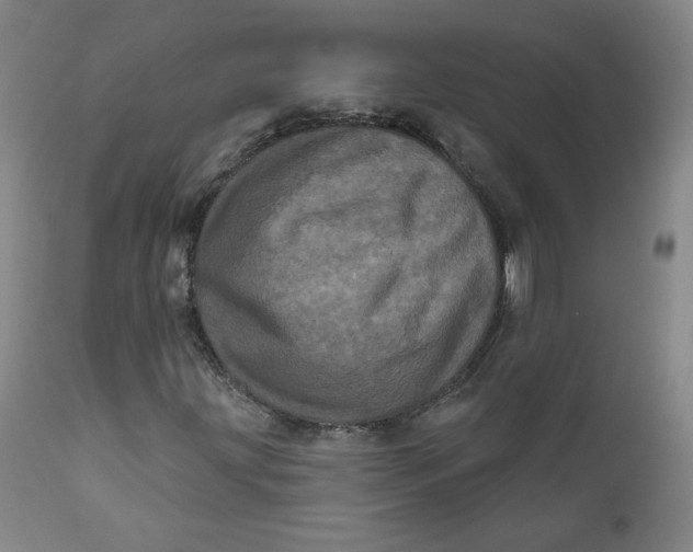 X0000111641203200908071334