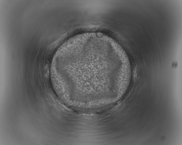 X0000111641204200908071334