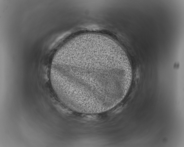 X0000111641205200908071334