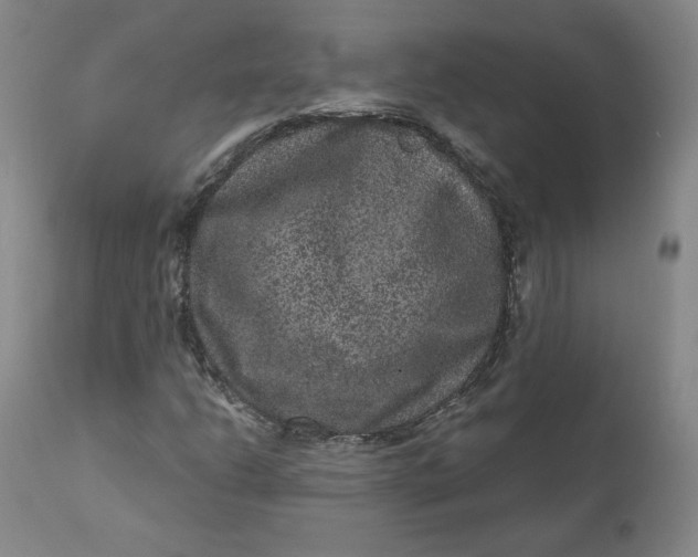 X0000111641206200908071334