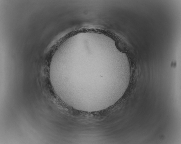 X0000111641207200908071334