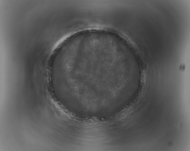 X0000111641208200908071334