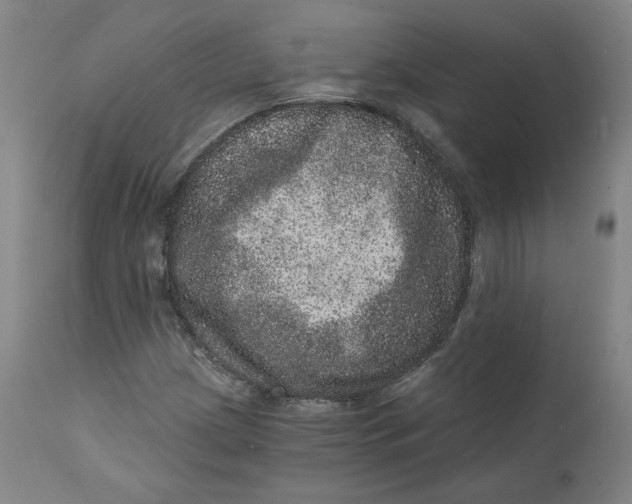 X0000111641209200908071334