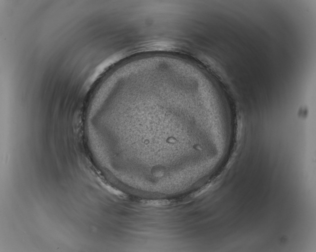 X0000111641210200908071334