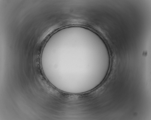 X0000111641211200908071334