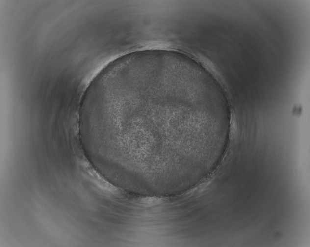 X0000111641212200908071334