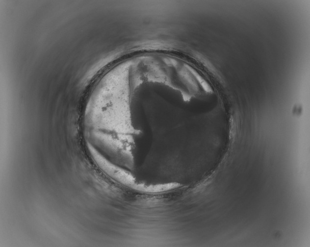 X0000111641213200908071334