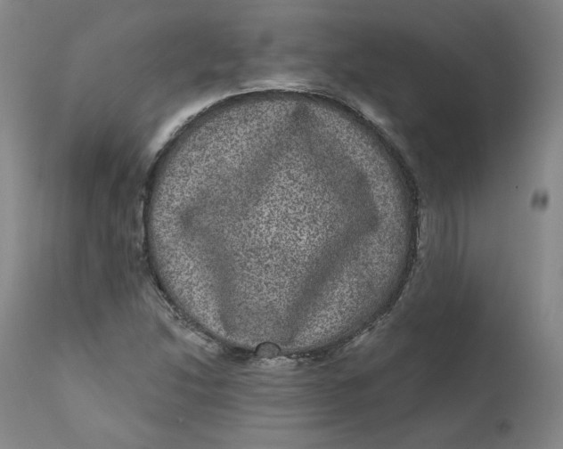 X0000111641214200908071334