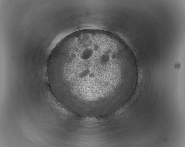 X0000111641215200908071334