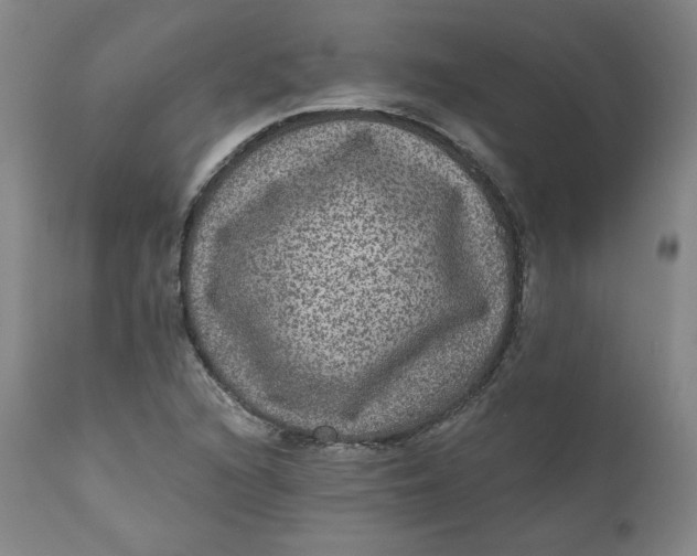 X0000111641216200908071334