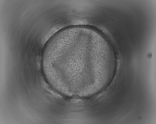 X0000111641217200908071334