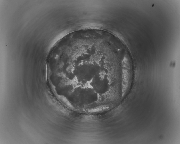 X0000111641219200908071334