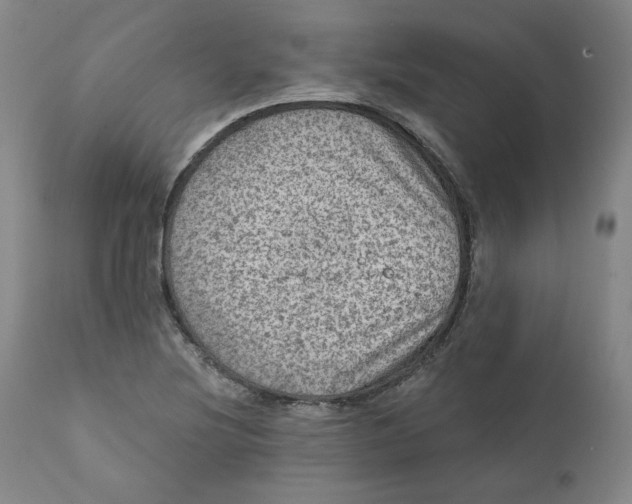 X0000111641220200908071334