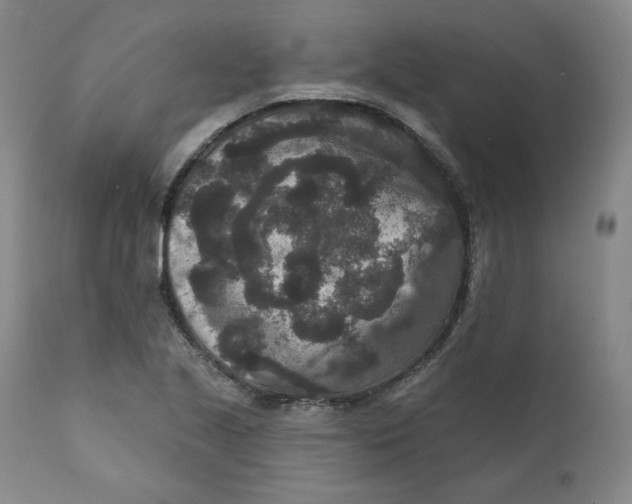 X0000111641221200908071334