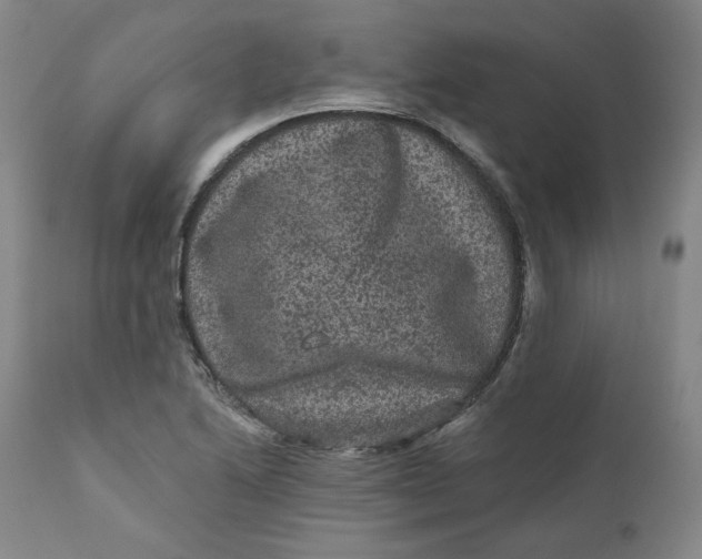 X0000111641222200908071334