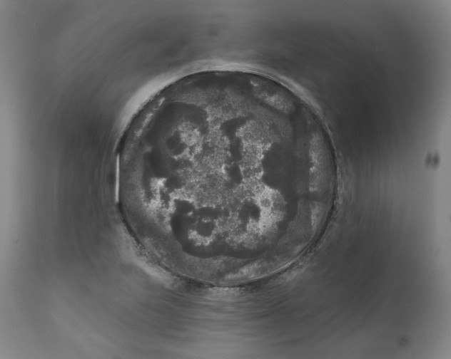 X0000111641223200908071334