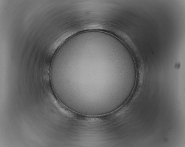 X0000111641225200908071334