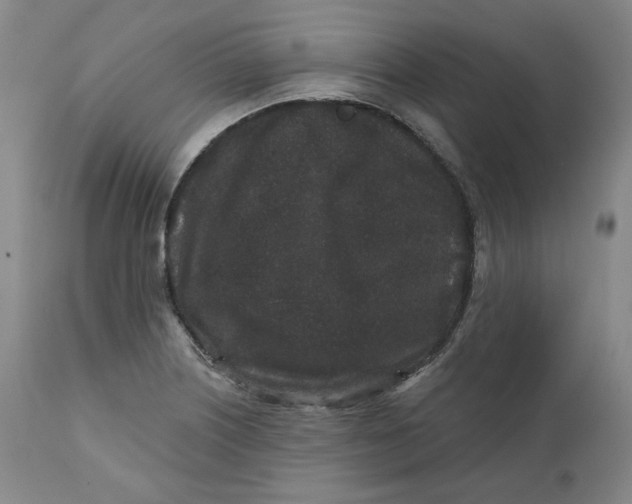 X0000111641226200908071334