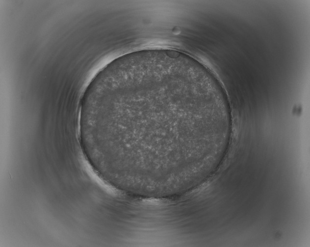 X0000111641227200908071334