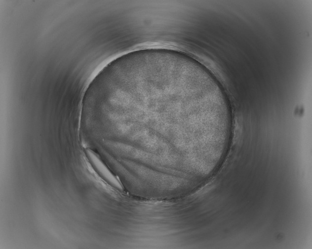 X0000111641228200908071334