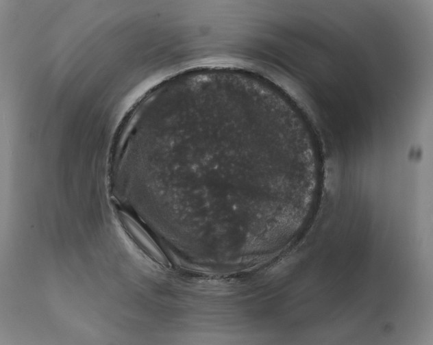 X0000111641229200908071334