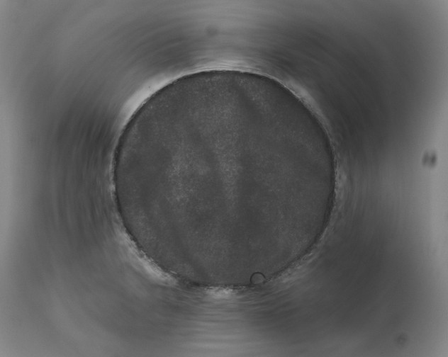 X0000111641230200908071334